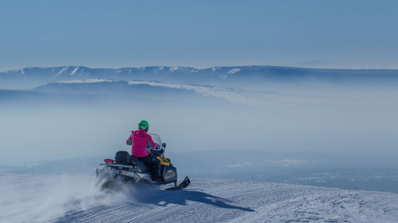 银奖:《鹰击长空》 作者:徐敏千 银奖:《鹰击长空》 作者:徐敏千