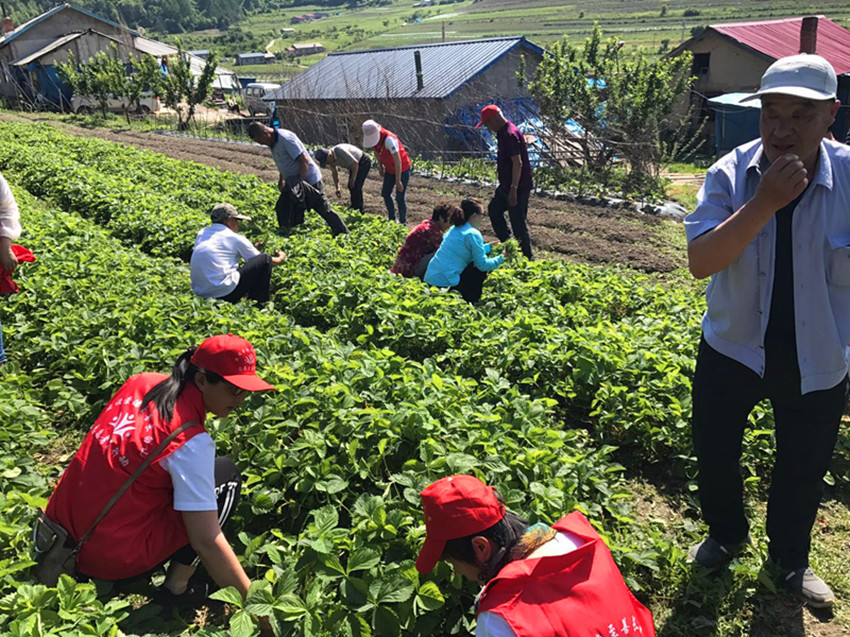 图片3_副本.jpg 图片3_副本.jpg